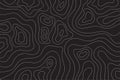 Black topographic background. Abstract linear irregular shapes on a dark isolated background.