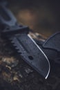 Black tourist and military survival knife lies forest on fallen tree trunk.