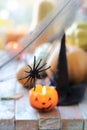 Black toy spider, cobweb on the background of burning candles and pumpkins, decorate the interior for Halloween Royalty Free Stock Photo