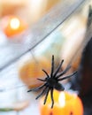 Black toy spider, cobweb on the background of burning candles and pumpkins, decorate the interior for Halloween Royalty Free Stock Photo