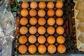 Black trays full of natural light brown chicken eggs selling in local food market, top view selective focus