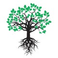 Black Tree with Green Leafs and Roots. Royalty Free Stock Photo