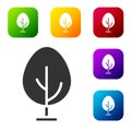 Black Tree icon isolated on white background. Forest symbol. Set icons in color square buttons. Vector Royalty Free Stock Photo