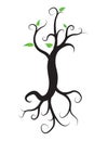 Black tree with roots isolated white background Royalty Free Stock Photo