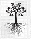 Black Tree with Roots on transparent background. Vector Illustration