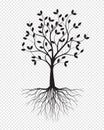 Black Tree with Roots on transparent background. Vector Illustration