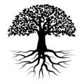 Black tree with roots. White background. Icon for decorative design. Nature art. Vector illustration. Stock image. Royalty Free Stock Photo