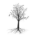 Black tree silhouette with leaves and root. Ecology and nature concept. Vector illustration isolated on white Royalty Free Stock Photo