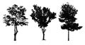 Black tree silhouettes collection isolated on white background Royalty Free Stock Photo