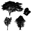 Black tree silhouettes collection isolated on white background Royalty Free Stock Photo