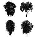 Black tree silhouettes collection isolated on white background Royalty Free Stock Photo