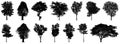 Black tree silhouettes collection isolated on white background Royalty Free Stock Photo