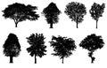 Black tree silhouettes collection isolated on white background Royalty Free Stock Photo