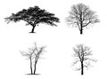 Black tree silhouettes isolated on white background Royalty Free Stock Photo