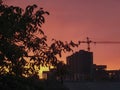 Black tree silhouettes with leaves and buildings under construction with tower cranes on a background of orange-red sky at sunset. Royalty Free Stock Photo