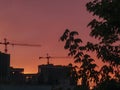 Black tree silhouettes with leaves and buildings under construction with tower cranes on a background of orange-red sky at sunset. Royalty Free Stock Photo