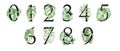 Black tropical set of numbers with green leaves illustrations
