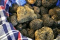 Black truffle Royalty Free Stock Photo