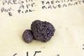 Black truffle Royalty Free Stock Photo