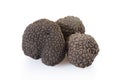 Black truffle group on white Royalty Free Stock Photo