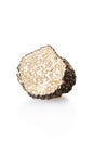 Black truffle half isolated on white Royalty Free Stock Photo