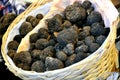 Black truffle market in Italy Royalty Free Stock Photo