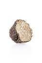 Black truffle section isolated on white Royalty Free Stock Photo