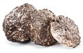 Black truffle slices on white background. The most famous of the trufflez Royalty Free Stock Photo