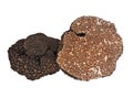 Black truffle