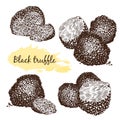 Black truffles group