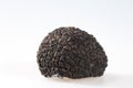 Black truffles isolated on a white background. Royalty Free Stock Photo