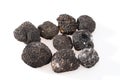 Black truffles isolated on a white background Royalty Free Stock Photo