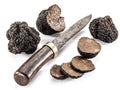 Black truffles isolated on a white. Royalty Free Stock Photo