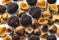 Black truffles isolated on a white background