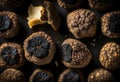 Black truffles isolated on a white background