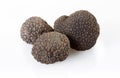 Black truffles isolated on white Royalty Free Stock Photo