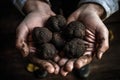 Black Truffles In Mens Hands. Generative AI