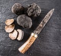 Black truffles and truffle slices on a graphite board. Royalty Free Stock Photo