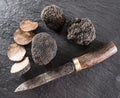Black truffles and truffle slices on a graphite board. Royalty Free Stock Photo