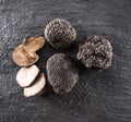 Black truffles and truffle slices. Royalty Free Stock Photo