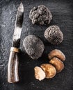 Black truffles and truffle slices on a graphite board. Royalty Free Stock Photo