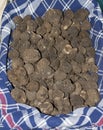 Black truffles Royalty Free Stock Photo