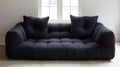 A black tufted sofa with two pillows in front of a window