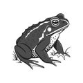 Black-Tufted Toad Realistic Artwork Royalty Free Stock Photo