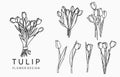 Black tulip logo collection with leaves,geometric.Vector illustration for icon,logo,sticker,printable and tattoo