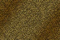 Black turing pattern against gold shiny background