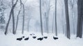 Black Turkeys Foraging in a Snowy Forest Royalty Free Stock Photo