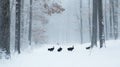 Black Turkeys In A Snowy Forest Royalty Free Stock Photo