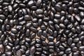 Black Turtle Bean legume. Closeup of grains, background use.