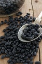 Black Turtle Beans Royalty Free Stock Photo